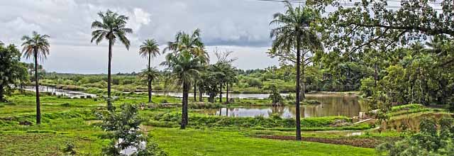 Gambia Flights